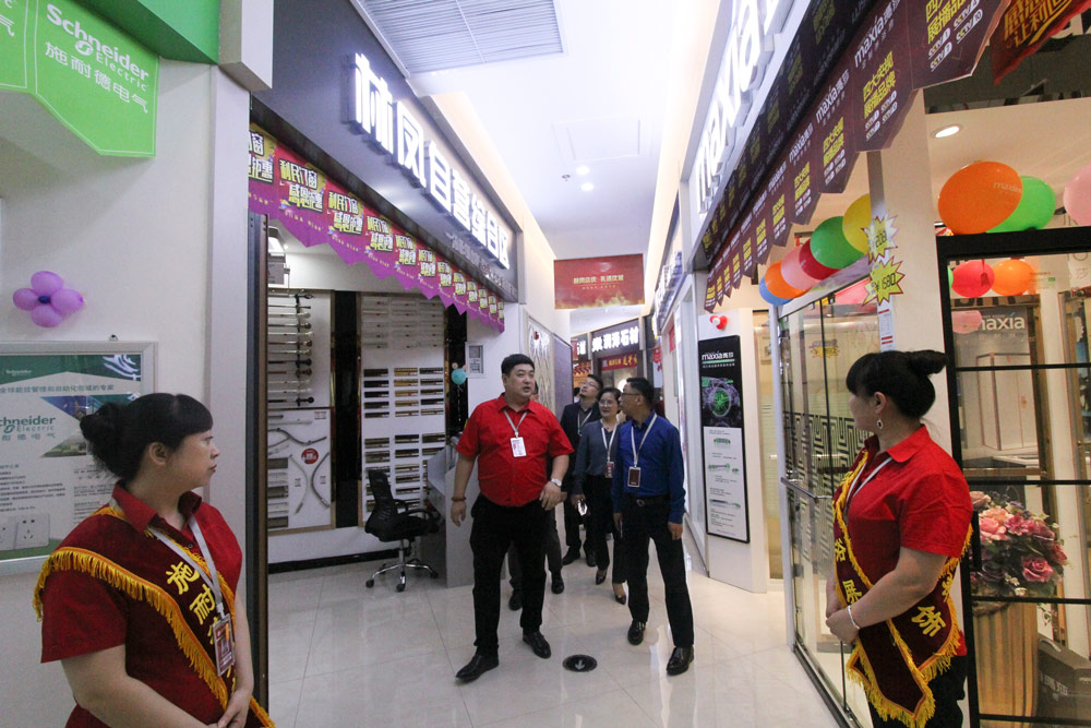 代表团参观林凤装饰主材广场