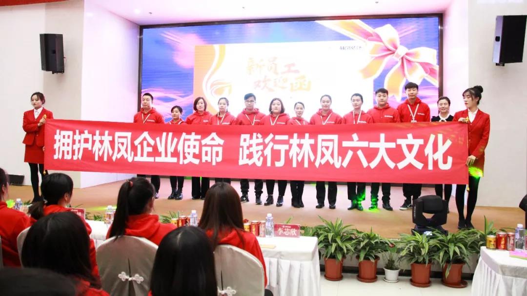 勇者心逐梦路林凤装饰11月总结会迎新会